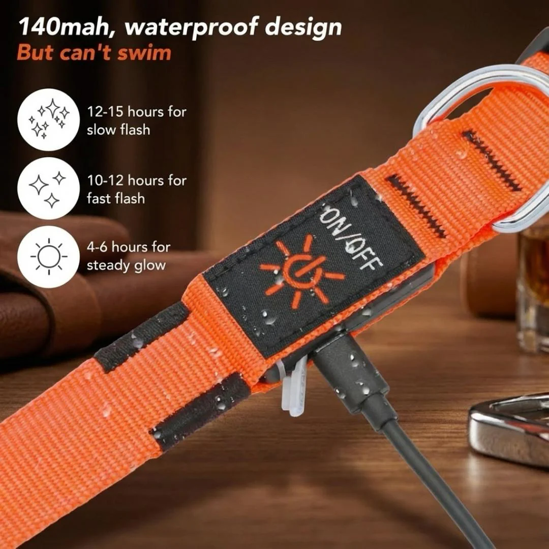 PureLight LED Dog Collar - Image 3