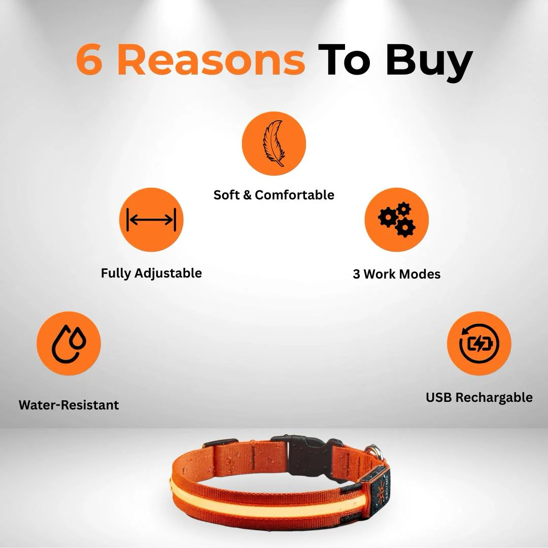 PureLight LED Dog Collar - Image 4