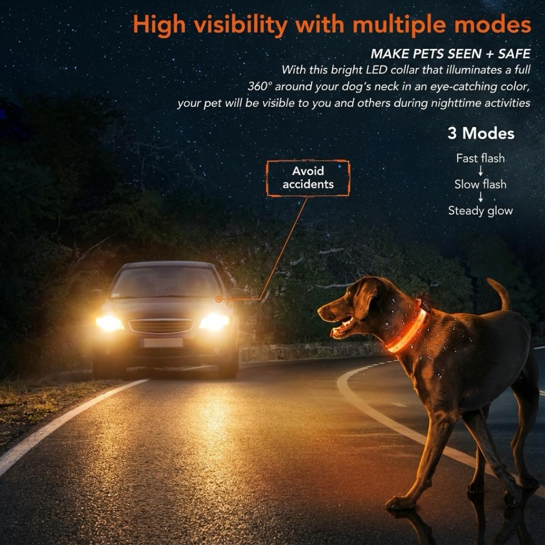 PureLight LED Dog Collar - Image 6